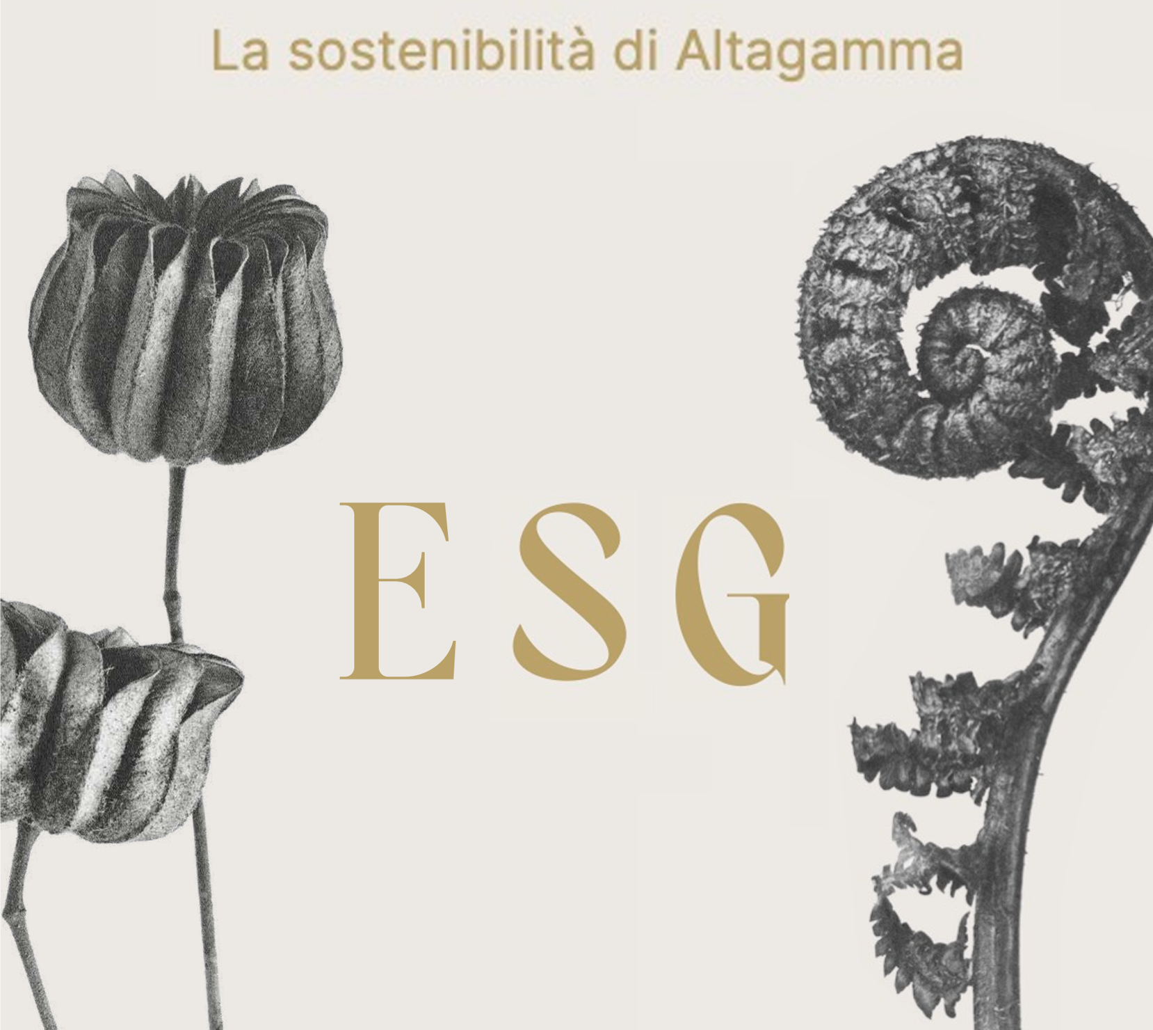 LA SOSTENIBILITà DELLE IMPRESE ALTAGAMMA 