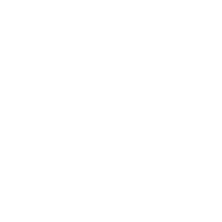 MY STYLE BAGS  