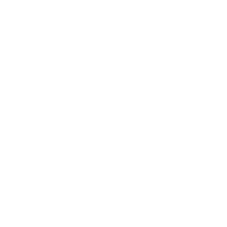 SLALOM